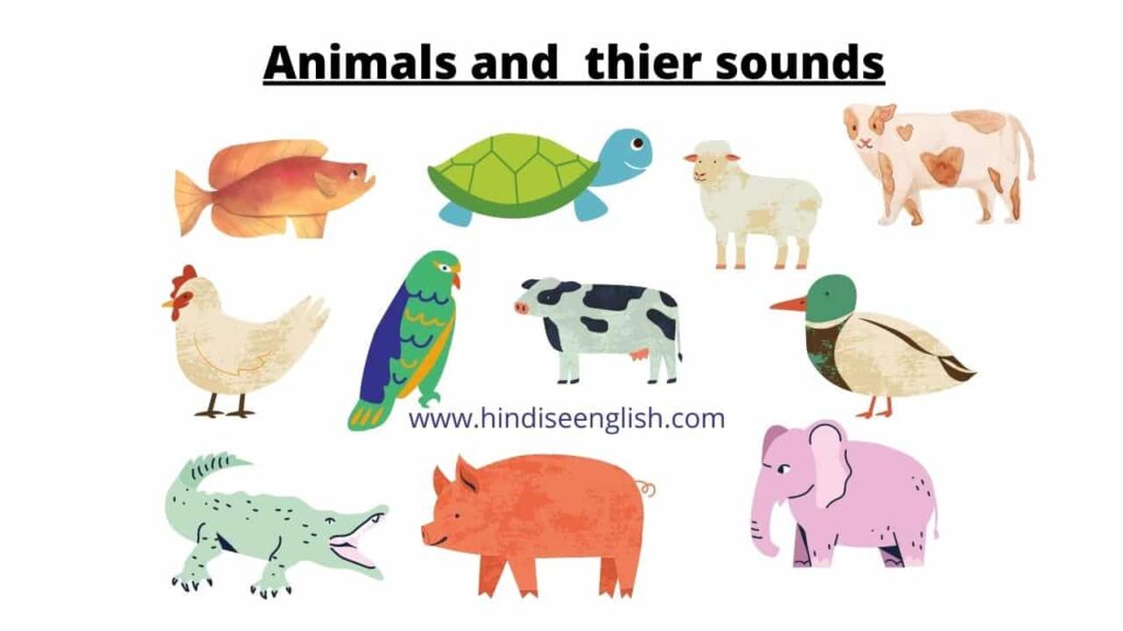 Animals and their sounds