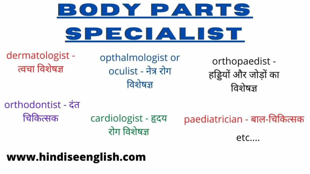 medical doctor types